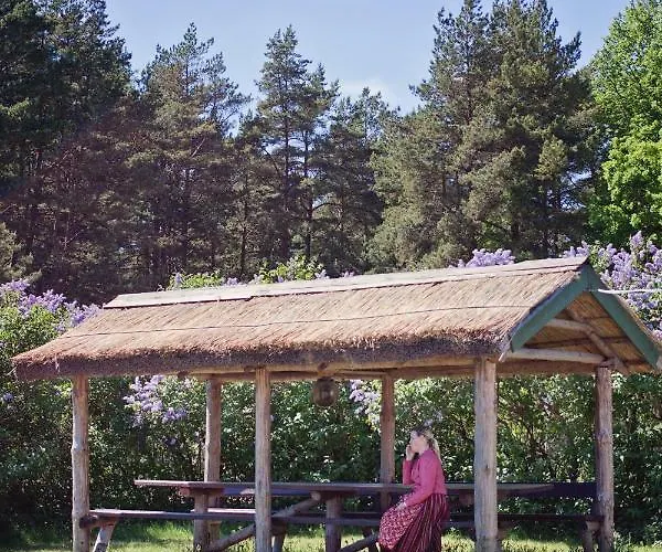 Kihnu Sadama Oeoemaja * Lemsi